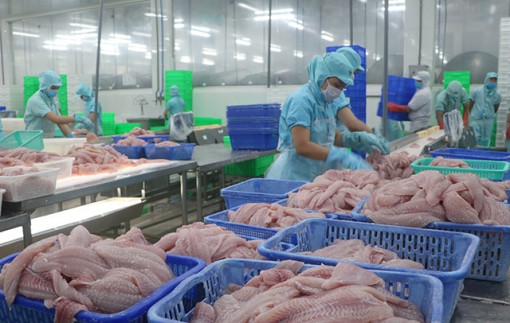 Đồng Tháp: Doanh nghiệp tập trung sản xuất sau đại dịch Covid-19