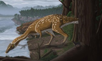 Phát hiện hóa thạch khủng long cổ dài cực hiếm ở Úc