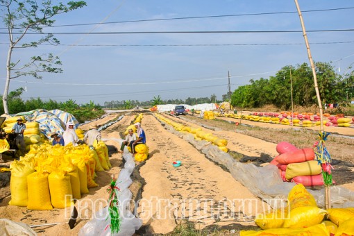 Cơ hội hồi phục và tăng tốc