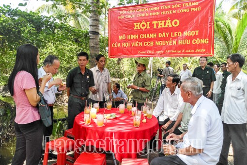 Hội thảo mô hình chanh dây leo ngọt