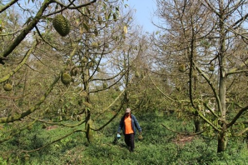 Vĩnh Long: Trên 6 tỷ đồng ủng hộ phòng chống dịch COVID-19 và hỗ trợ đồng bào bị thiệt hại do hạn, mặn