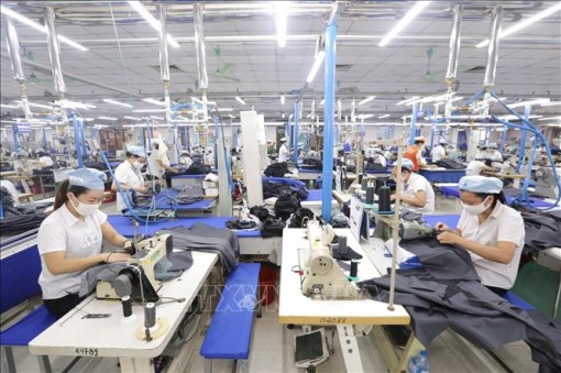 EVFTA đóng vai trò như thế nào trong việc giúp hồi phục nền kinh tế Việt Nam?