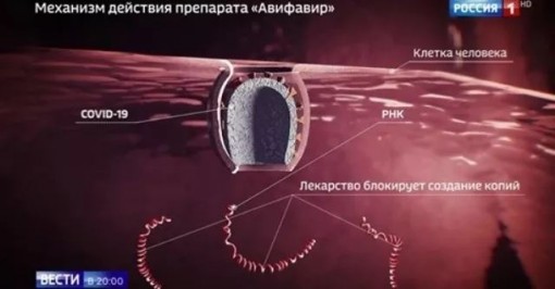 Nga điều chế thành công thuốc điều trị Covid-19