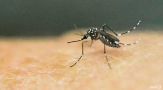 Việt Nam ghi nhận 1 trường hợp ở Đà Nẵng mắc bệnh do virus Zika
