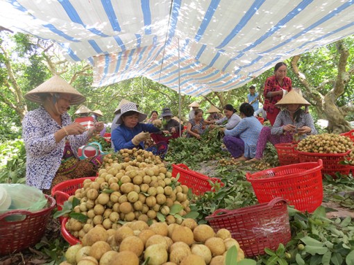 Đẩy mạnh các giải pháp phát triển kinh tế - xã hội hậu Covid-19