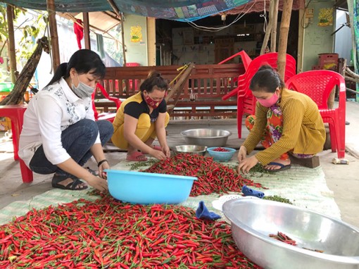 Kiếm thêm thu nhập từ nghề lặt cuốn ớt