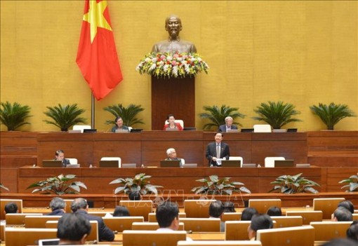Dự án Luật Thanh niên (sửa đổi): Trách nhiệm, sứ mệnh của thanh niên trong xây dựng, bảo vệ đất nước