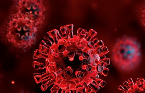 Phát hiện vùng khí hậu tối ưu đối với virus SARS-CoV-2