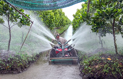 Phát triển nông sản chủ lực