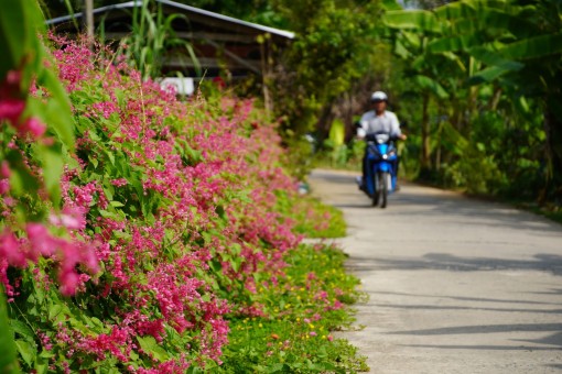 Long An có 88 xã đạt chuẩn nông thôn mới