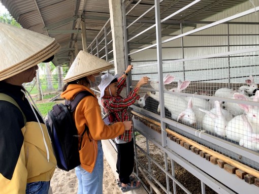 Cần Thơ: Đẩy mạnh các giải pháp khôi phục du lịch