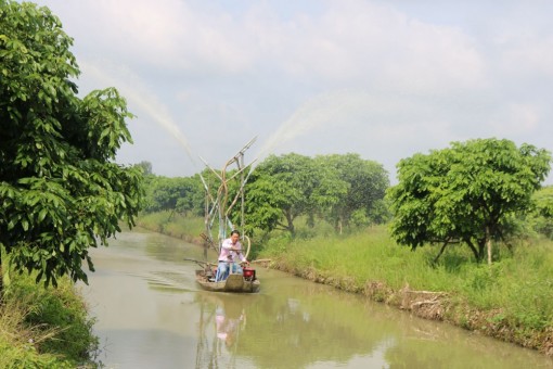 ĐBSCL: Dòng chảy duy trì thấp, mặn xâm nhập giảm nhưng vẫn ở mức cao vào đầu tháng 6