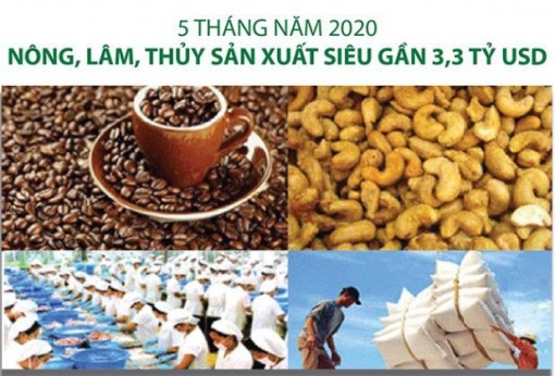 Nông, lâm, thủy sản xuất siêu gần 3,3 tỷ USD từ đầu năm