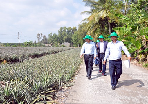 Tiềm năng công nghiệp chế biến