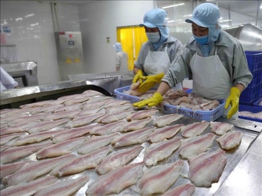 Nắm thời cơ xuất khẩu thủy sản