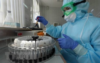 Vắcxin ngừa COVID-19 của Nga có thể được sử dụng trước cuối năm 2020