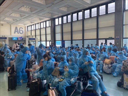 Sáng 4-6: Việt Nam 49 ngày không có ca mắc mới COVID-19 trong cộng đồng