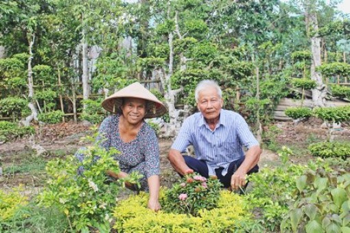 Vĩnh Long: Tạo đột phá nhờ cơ cấu lại ngành nông nghiệp gắn với xây dựng nông thôn mới