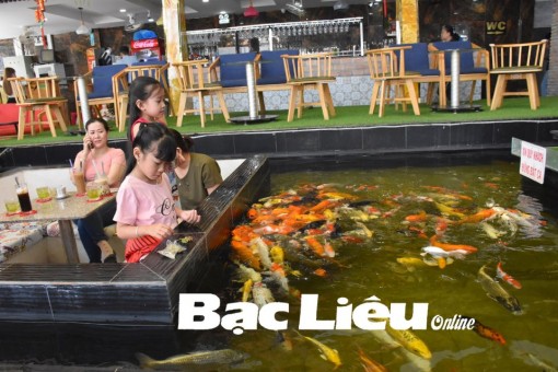 TP. Bạc Liêu: Tăng cường đầu tư hạ tầng cho phát triển du lịch