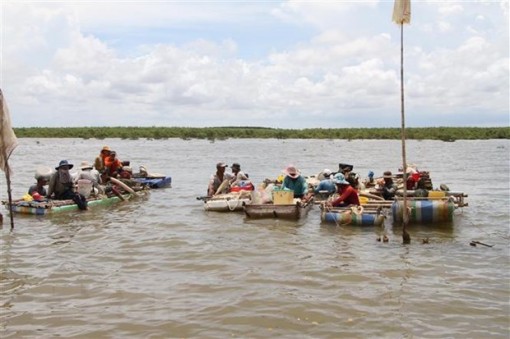 Rừng phòng hộ mới trồng ở Sóc Trăng sói lở nghiêm trọng