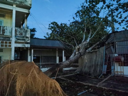 Cần Thơ: Dông lốc lớn hiếm gặp làm gãy trụ điện, cây xanh bật gốc