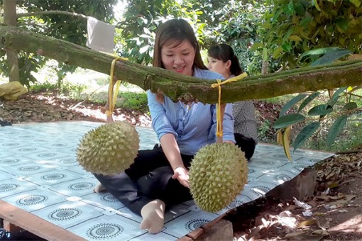 Nông dân làm du lịch