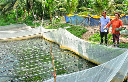 Đưa nghị quyết của Đảng vào cuộc sống