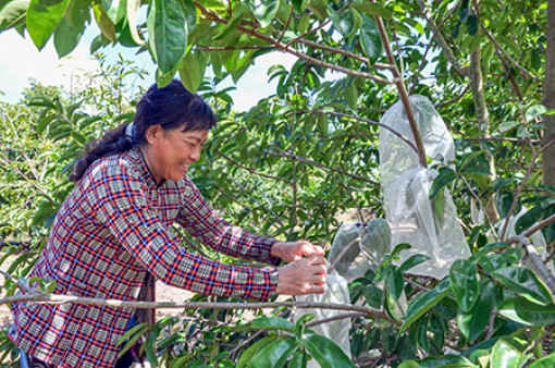 Hậu Giang: Chuyển đổi sản xuất ở Thuận Hòa