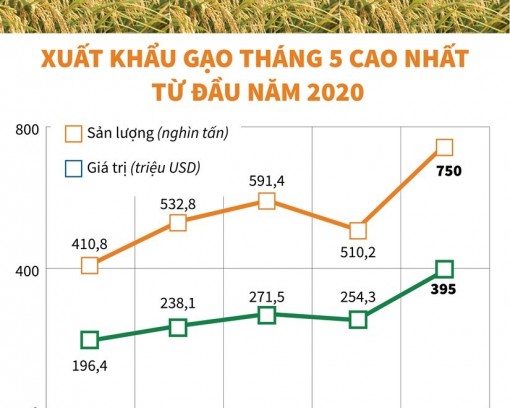 Xuất khẩu gạo tháng Năm cao nhất từ đầu năm 2020