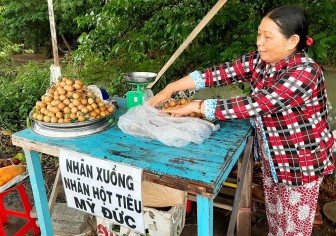 Nhãn xuồng đầu mùa đạt mức 80.000 đồng/kg