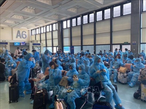 Việt Nam đã 55 ngày không có ca mắc mới COVID-19 trong cộng đồng, còn 15 ca đang điều trị