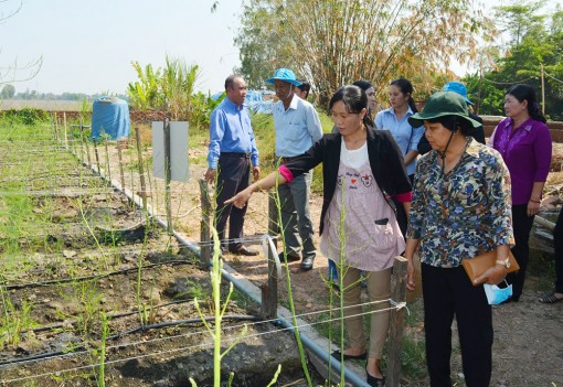 Ứng dụng khoa học - công nghệ vào sản xuất nông nghiệp