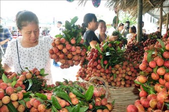 Hiệp định EVFTA: Nâng cao chuỗi giá trị gia tăng nông sản Việt