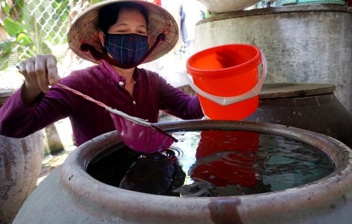 Long An: Chung tay phòng, chống các dịch bệnh nguy hiểm