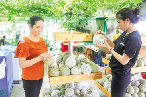 Lợi ích kép từ làm nông sản “sạch”