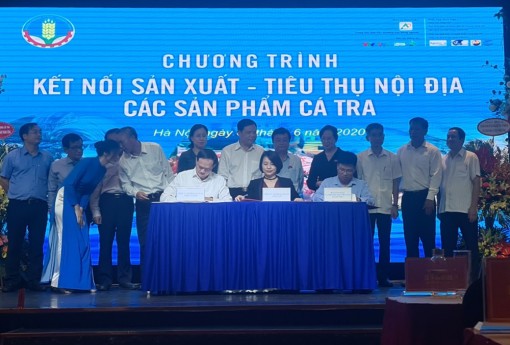 Đa dạng các sản phẩm từ cá tra tái xuất khẩu sau nCovid