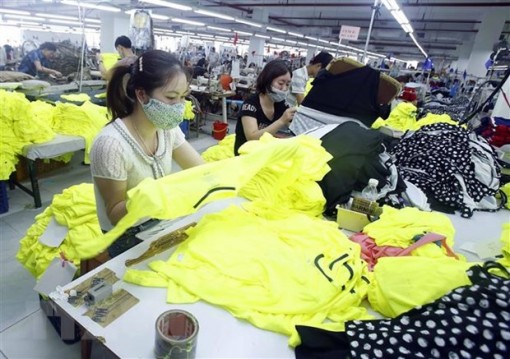 Việt Nam sẵn sàng cho việc triển khai các hiệp định EVFTA, EVIPA