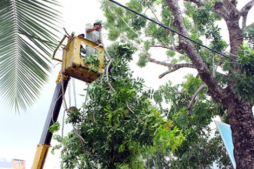 Quan tâm chỉnh trang đô thị