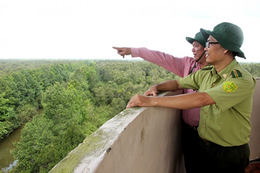 Kết thúc công tác phòng cháy, chữa cháy rừng mùa khô