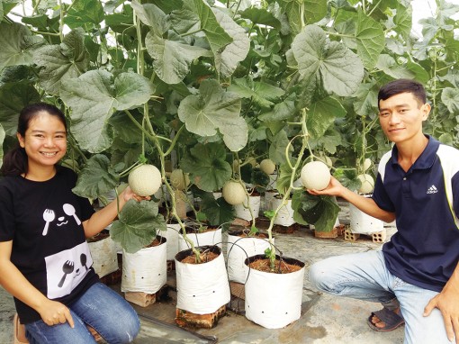 An Giang khai thác thế mạnh du lịch nông nghiệp