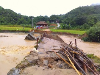 Mưa lũ làm sập cầu, nhiều cánh đồng bị ngập sâu tại Lào Cai