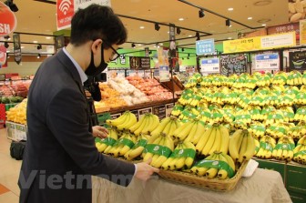 Chuối Việt Nam chính thức vào chuỗi siêu thị Lotte Hàn Quốc