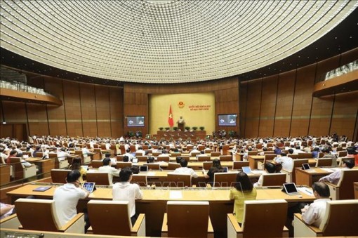 Ngày 16-6, Quốc hội biểu quyết Luật Thanh niên (sửa đổi) và Luật Hòa giải, đối thoại tại Tòa án