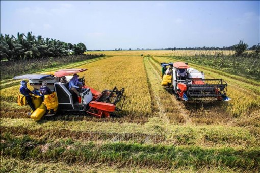 Thành lập Hội đồng điều phối vùng đồng bằng sông Cửu Long giai đoạn 2020-2025