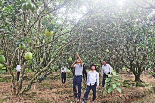 Thi đua góp phần thực hiện thắng lợi nghị quyết
