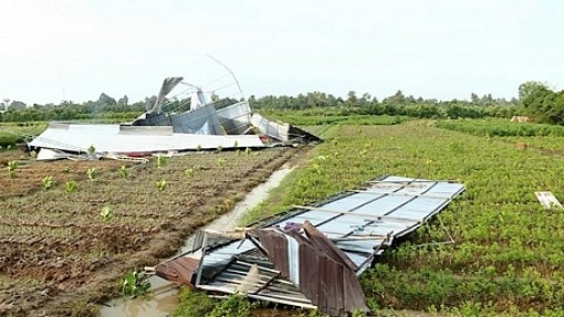 Vĩnh Long: Khắc phục hậu quả do giông lốc gây ra ở Bình Tân