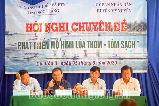 Sóc Trăng: Lúa thơm – Tôm sạch, mô hình thông minh và bền vững