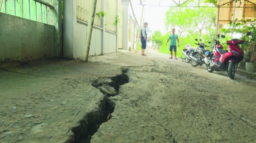 Đồng Tháp: Nguy cơ sạt lở bờ sông Cái Tàu Hạ