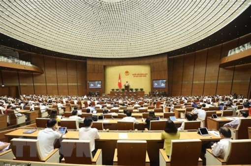 Quốc hội biểu quyết Luật và Nghị quyết, thảo luận 2 dự thảo Luật