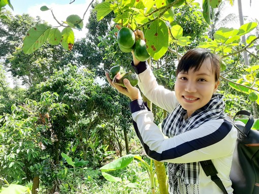 Khảo sát phát triển sản phẩm du lịch núi Cấm